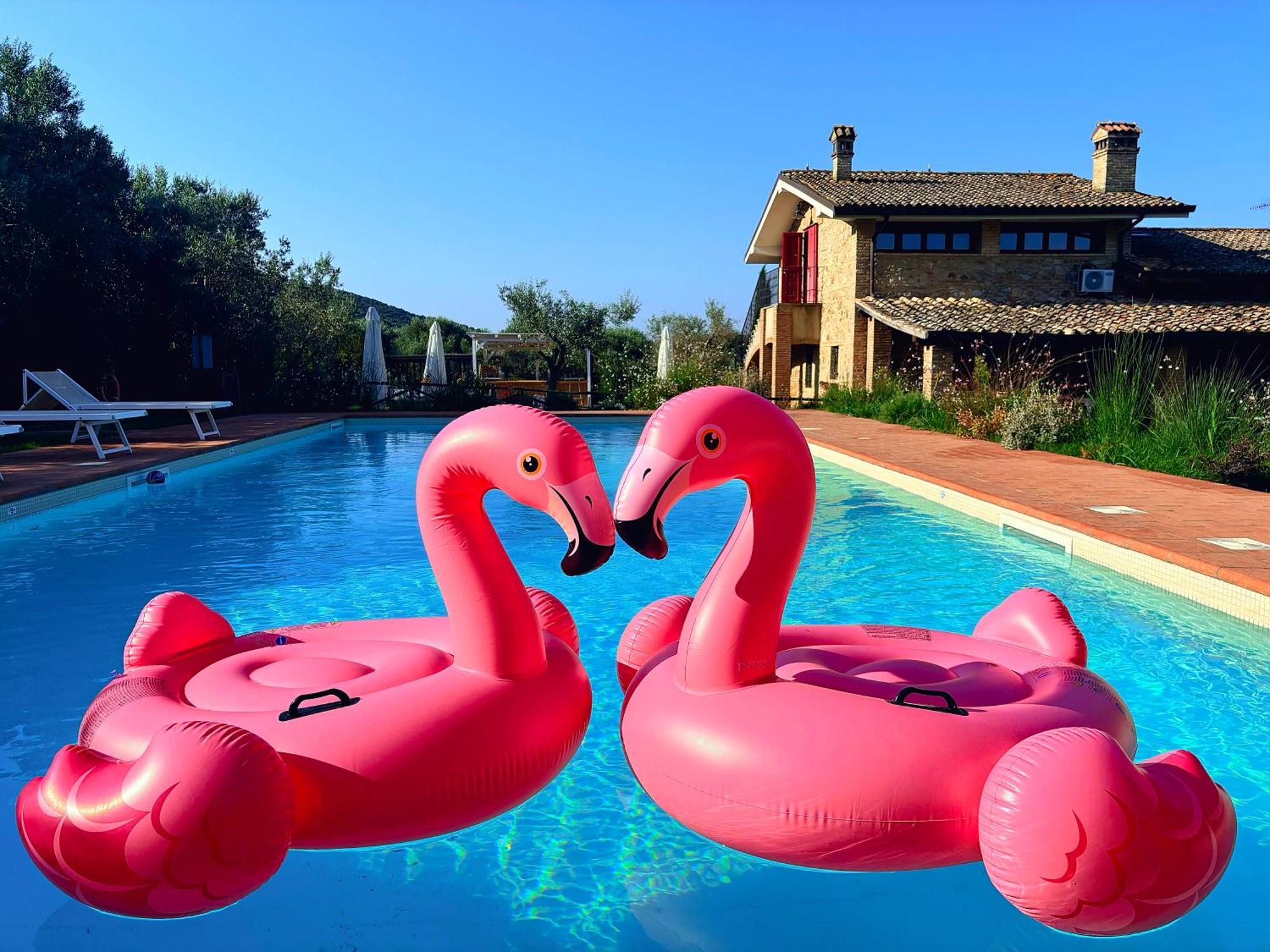 Nonna Nara Bed & Breakfast Гроссето Экстерьер фото
